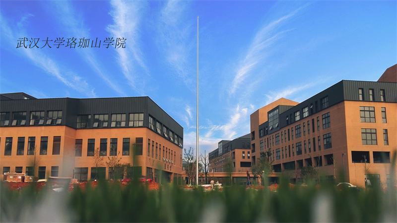 武汉大学