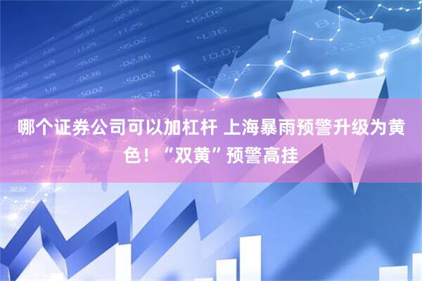 哪个证券公司可以加杠杆 上海暴雨预警升级为黄色！“双黄”预警高挂