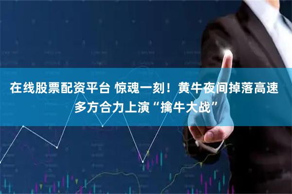 在线股票配资平台 惊魂一刻！黄牛夜间掉落高速 多方合力上演“擒牛大战”