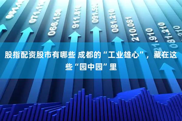 股指配资股市有哪些 成都的“工业雄心”，藏在这些“园中园”里